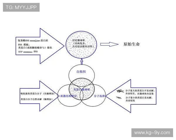 围绕非法足球世界电脑构建虚拟灰色竞技生态风险演化深度观察